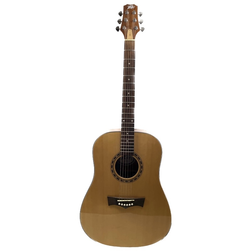 Peavey Delta Woods DW1 Acoustic Guitar USA Pawn