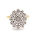 Women's 1.05 ctw Round Diamond Flower Cluster Ring in 14KT Yellow Gold - 4.8g