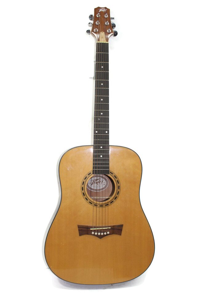 Peavey DW-1 Acoustic Guitar