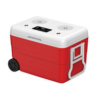 New!! Technical Pro BCOOLERR Rechargeable Bluetooth Cooler