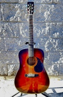 Alvarez Regent 5210 Dreadnought Acoustic Guitar