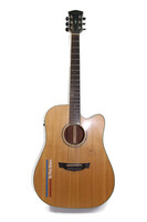Parkwood pw-360m Acoustic Guitar