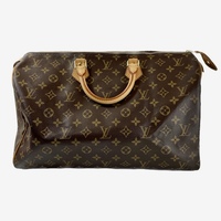 Louis Vuitton Speedy 40 Mono Handbag