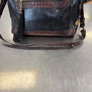 Brahmin Nvn