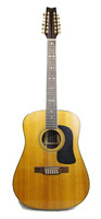 Wasburn D-28S-12N Acoustic 12 - String Guitar Natural Finish - Right Handed