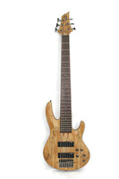ESP LTD B-206SM 6 String Electric Bass