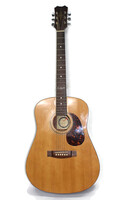Alvarez 5212 Acoustic Guitar