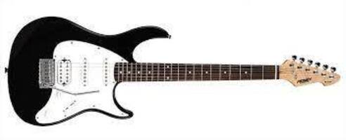 Peavey Raptor Electric Guitar- Black and White