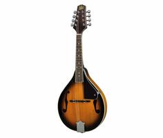 ROGUE RM-100A Mandolin Guitar