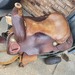 Cajun's Cutting Saddle With 17" Seat, 27" Skirt, 4-1/4" Horn  