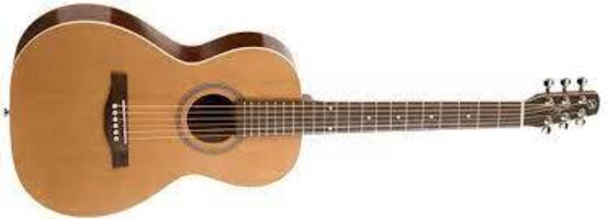 Seagull Coastline Grand Parlor Natural Acoustic Guitar - Pic For Reference 
