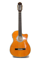Esteban's G-100 Classical Acoustic Guitar