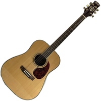 Copley CA-50 Acoustic Guitar