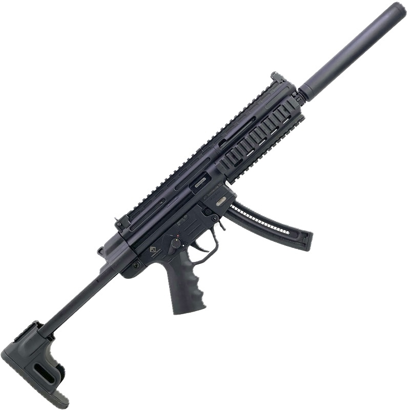 Gsg 22lr Rifle GSG GSG-16 .22LR Cal. Semi-Automatic Rifle | USA Pawn