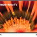 Hisense 40" Class 1080p FHD LED LCD Roku Smart TV