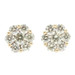 0.82 ctw Round Diamond Flower Cluster 10KT Yellow Gold Stud Screw Back Earrings 