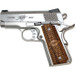 KIMBER Custom Shop Stainless Steel Ultra Raptor 2 9mm Semi Auto Pistol