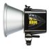 MARKDOWN ALERT!!! Alienbees B800 Strobe Light
