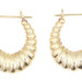 14KT Yellow Gold Scalloped Hoop Door High-Polished Shrimp Small Hoop Earrings