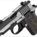 SIG SAUER P238 Equinox 380ACP Semi Automatic Pistol 