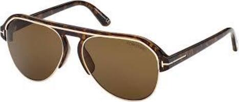 Tom Ford Marshall Sunglasses