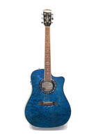 Fender T-Bucket 300ce Acoustic Guitar