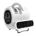 LASKO SF-20-G2 Electric Floor Fan