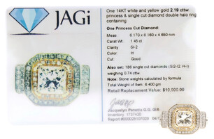 2.19 cttw Princess & Round Diamond Double Halo Two Tone 14K Gold Engagement Ring