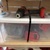 CRAFFTSMAN 20V Lithium Ion Combo Kit