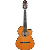 Ibanez Classical Acoustic Guitar