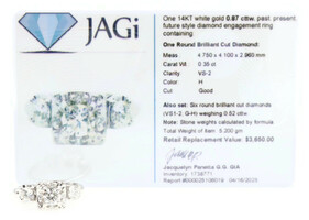 Past Present Future 0.87 Ctw Round Brilliant Diamond 14KT White Gold Ring JAGi
