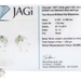 JAGi 1.03 Ctw Round Brilliant Diamond 14KT White Gold Solitaire Stud Earrings