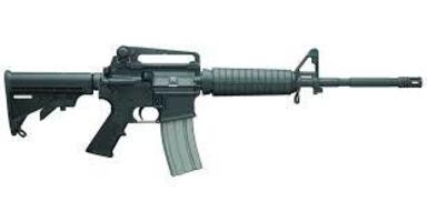Bushmaster Firearms XM15-E2S
