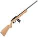 ROSSI RS22 22LR Semi Automatic Rifle