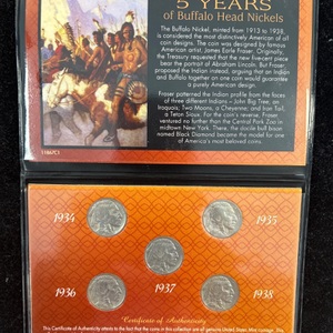 5 Years of  Buffalo Head Nickels