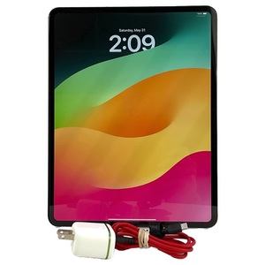Apple iPad Pro 13-Inch (M4) MWT03LL/A 1TB Tablet With Charger
