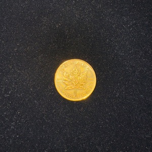 Canada Gold Maple Leaf 1/2 OZ