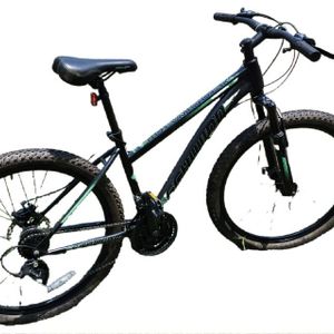 Schwinn Mountain Bike 