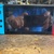 NINTENDO SWITCH HAC-001
