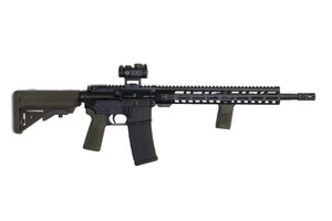 PALMETTO STATE ARMORY pa-15 5.56 Semi Auto Riflw with Sig Sauer Optic