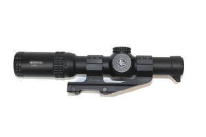Vortex Strike Eagle 1-6x24 Scope with Burris Mount