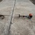 STIHL FS91R / STRAIGHT SHAFT WEED EATER