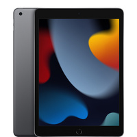 Apple Apple A2602 9th Generation iPad