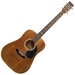 Alvarez 5222 Dreadnought Acoustic Guitar With Case