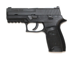 SIG SAUER p250 .40 S&W Semi Auto Pistol 2 Mags and Case