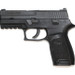 SIG SAUER p250 .40 S&W Semi Auto Pistol 2 Mags and Case