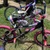 Pink and Black Girls Bicycle