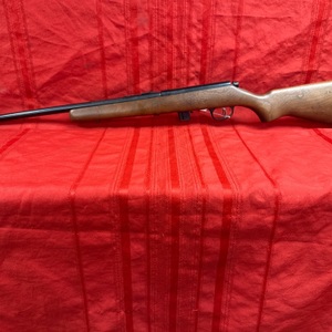 THE MARLIN xt-22