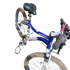 Genesis 24 Whirlwind 