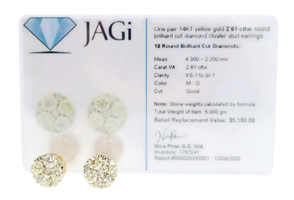 JAGi 2.61 Ctw Round Brilliant Cut Diamond Cluster 14KT Yellow Gold Stud Earrings